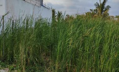 TERRENO EN VENTA EN SECTOR CASTELNUOVO, PARROQUIA ATACAMES ESMERALDAS