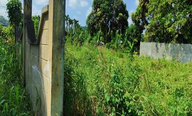 TERRENO EN VENTA SECTOR DE SAN CARLOS TONSUPA