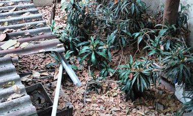 JUAREZ, AV CHAPULTEPEC, TERRENO EN VENTA, GRAN OPORTUNIDAD