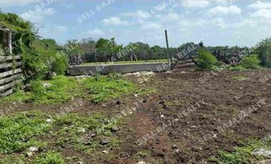 Rancho en Venta en San Felipe, Yucatán – 548 Hectáreas con Cenote y Riqueza Nat