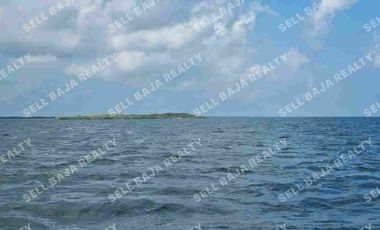 Rancho en Venta en San Felipe, Yucatán – 548 Hectáreas con Cenote y Riqueza Nat