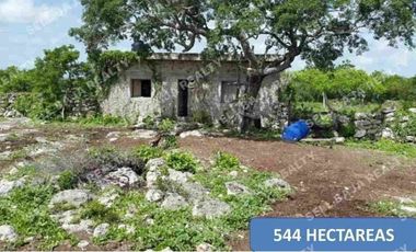 Rancho en Venta en San Felipe, Yucatán – 548 Hectáreas con Cenote y Riqueza Nat