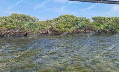 Rancho en Venta en San Felipe, Yucatán – 548 Hectáreas con Cenote y Riqueza Nat