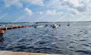 Rancho en Venta en San Felipe, Yucatán – 548 Hectáreas con Cenote y Riqueza Nat