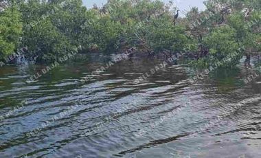 Rancho en Venta en San Felipe, Yucatán – 548 Hectáreas con Cenote y Riqueza Nat