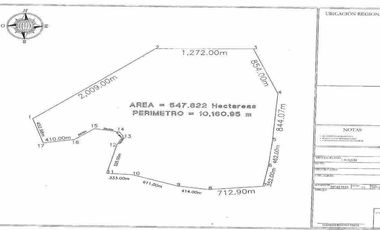 Rancho en Venta en San Felipe, Yucatán – 548 Hectáreas con Cenote y Riqueza Nat