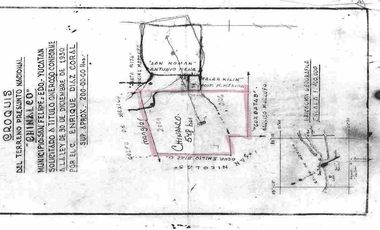 Rancho en Venta en San Felipe, Yucatán – 548 Hectáreas con Cenote y Riqueza Nat