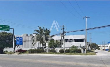 Renta de oficinas, Patio y Almacen