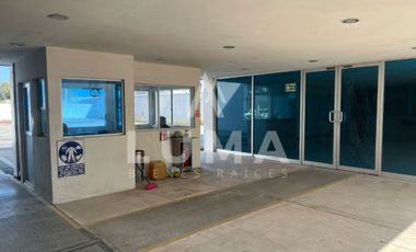 Renta de oficinas, Patio y Almacen