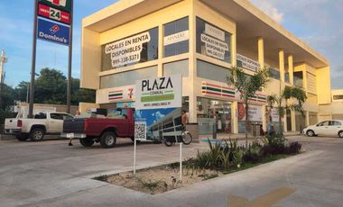 LOCAL EN PLANTA BAJA, EN RENTA, CONKAL