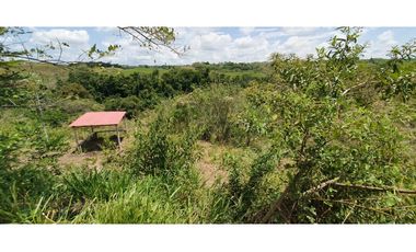 EN VENTA LOTE CERRITOS PEREIRA 11.052