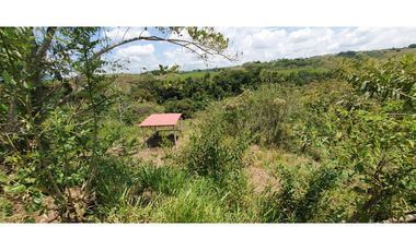 EN VENTA LOTE CERRITOS PEREIRA 11.052