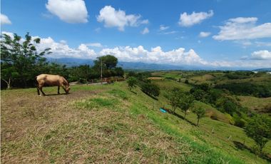 EN VENTA LOTE CERRITOS PEREIRA  13.000 M2