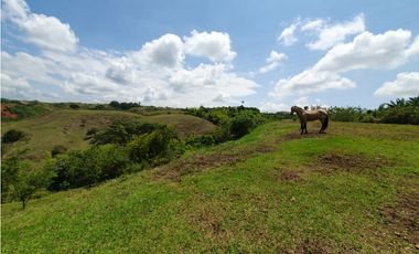 EN VENTA LOTE CERRITOS PEREIRA  13.000 M2
