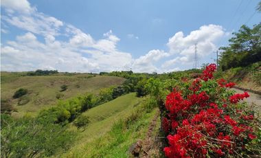 EN VENTA LOTE CERRITOS PEREIRA  13.000 M2