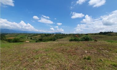 EN VENTA LOTE CERRITOS PEREIRA  13.000 M2