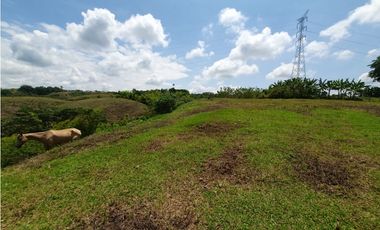 EN VENTA LOTE CERRITOS PEREIRA  13.000 M2