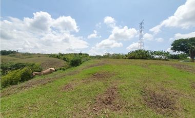 EN VENTA LOTE CERRITOS PEREIRA  13.000 M2