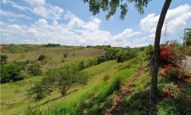 EN VENTA LOTE CERRITOS PEREIRA  13.000 M2