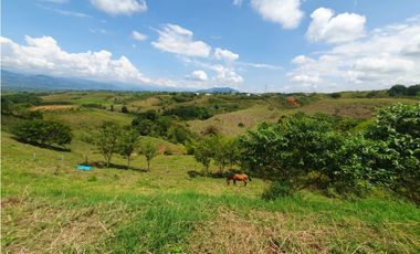 EN VENTA LOTE CERRITOS PEREIRA  13.000 M2