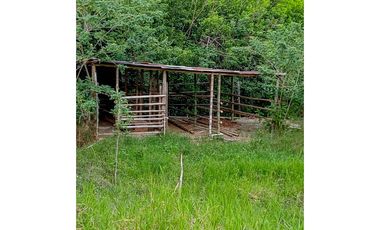 Casa-lote en la vía Alcalá-Cartago