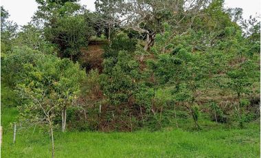 Casa-lote en la vía Alcalá-Cartago