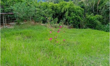 Casa-lote en la vía Alcalá-Cartago