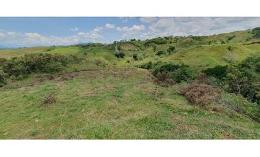 EN VENTA LOTE CERRITOS PEREIRA  11.103 M2