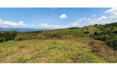 EN VENTA LOTE CERRITOS PEREIRA  11.103 M2