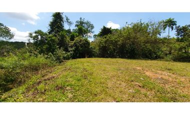 EN VENTA LOTE CERRITOS PEREIRA  11.103 M2