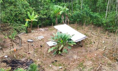 Casa-lote comercial sobre la vía Alcalá-Cartago