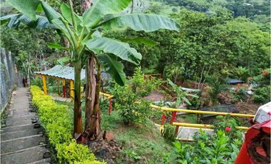 Casa-lote comercial sobre la vía Alcalá-Cartago