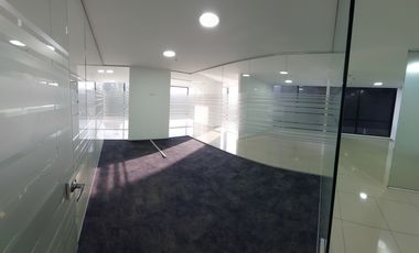 oficina optimus