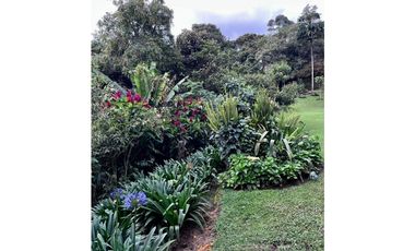 Casa en Venta y Arriendo Alto de las Palmas Envigado