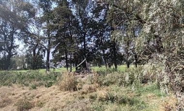 Terreno en Renta en Teoloyucan, Estado de México