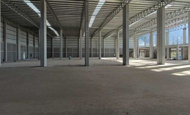 Bodega en Renta, Delma Park, Santa Catarina, Nuevo León