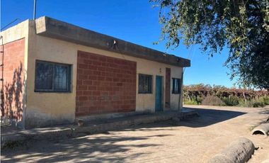 VENTA DE FINCA 96 HAS CON BODEGA - SAN MARTN, MENDOZA