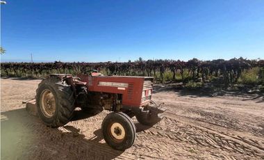 VENTA DE FINCA 96 HAS CON BODEGA - SAN MARTN, MENDOZA