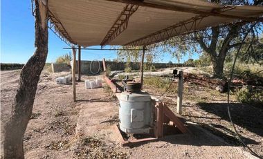 VENTA DE FINCA 96 HAS CON BODEGA - SAN MARTN, MENDOZA
