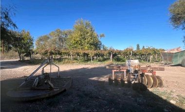 VENTA DE FINCA 96 HAS CON BODEGA - SAN MARTN, MENDOZA