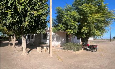 VENTA DE FINCA 96 HAS CON BODEGA - SAN MARTN, MENDOZA