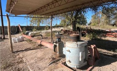 VENTA DE FINCA 96 HAS CON BODEGA - SAN MARTN, MENDOZA