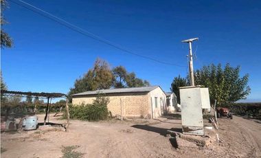 VENTA DE FINCA 96 HAS CON BODEGA - SAN MARTN, MENDOZA