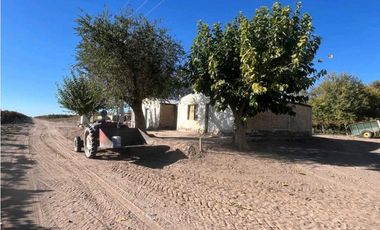 VENTA DE FINCA 96 HAS CON BODEGA - SAN MARTN, MENDOZA