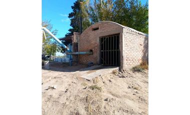 VENTA DE FINCA 53 HAS  – SAN MARTN, MENDOZA