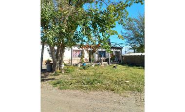 VENTA DE FINCA 53 HAS  – SAN MARTN, MENDOZA