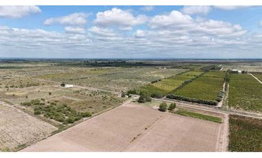 VENTA DE FINCA DE 79 HAS – SAN MARTN, MZA.