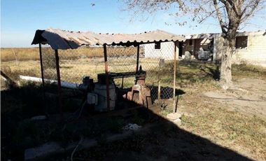 VENTA DE FINCA DE 79 HAS – SAN MARTN, MZA.