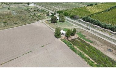 VENTA DE FINCA DE 79 HAS – SAN MARTN, MZA.