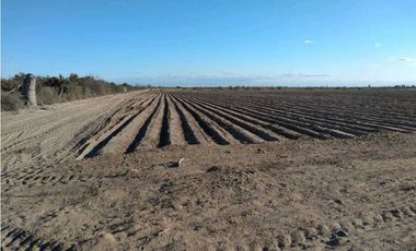 VENTA DE FINCA DE 79 HAS – SAN MARTN, MZA.